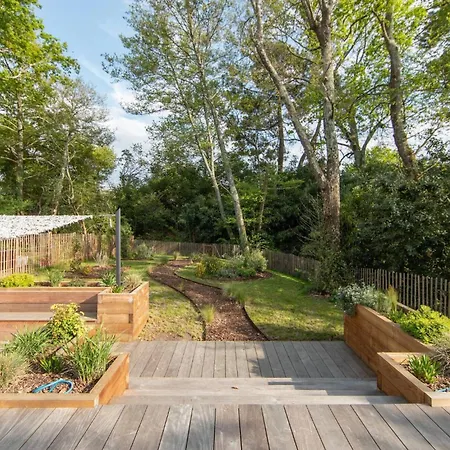 Du Plantier A Les Bains Andernos-les-Bains